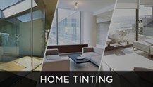 Home Tinting Home Tile